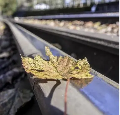 Solving the Problem of Slippery Train Tracks Due to Fallen Leaves