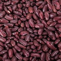 Are Red Kidney Beans Toxic?