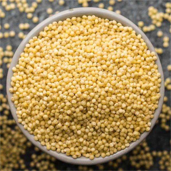 Eating millet has many benefits, and the following are some of the main benefits