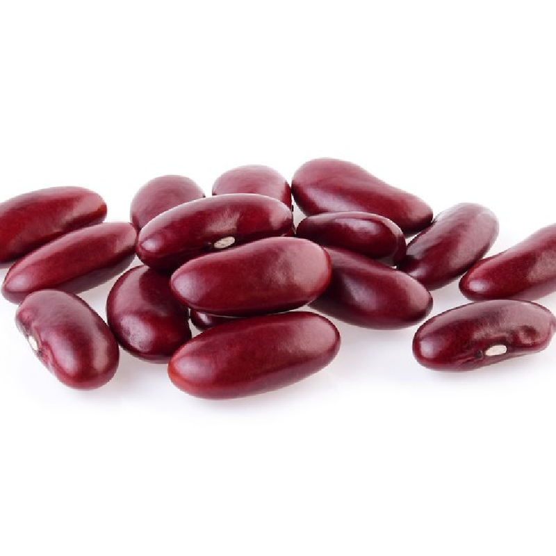 Exploring the Nutritional and Culinary Wonders of Red Beans