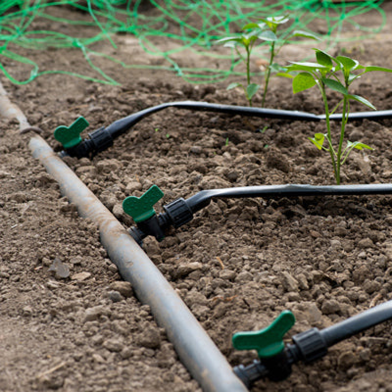 Revolutionizing Precision Irrigation: The Role of Drip Tubing in Water-Smart Agriculture